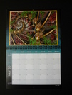 Calendrier 2011-05